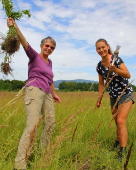 freiwillige Helferinnen freudestrahlend bei der Landschaftspflege