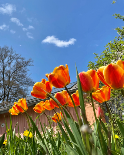 Steckbrief Partnerbetrieb Dorfgemeinschaften Wienerwald