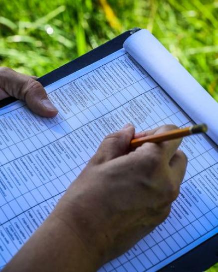 Ausfüllen einer Checkliste