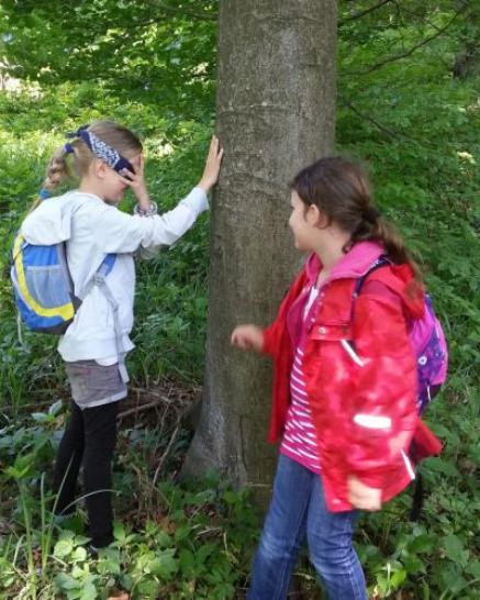 Die Natur mit allen Sinnen erforschen