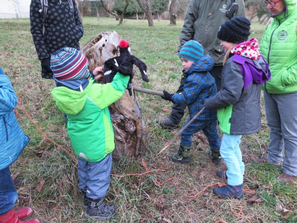 Spielerisch die Natur entdecken