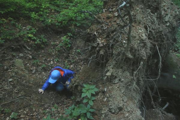 Kinder erforschen die Wildnis Wienerwald