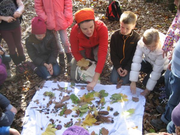 Mit Schulgruppen den Wald erkunden