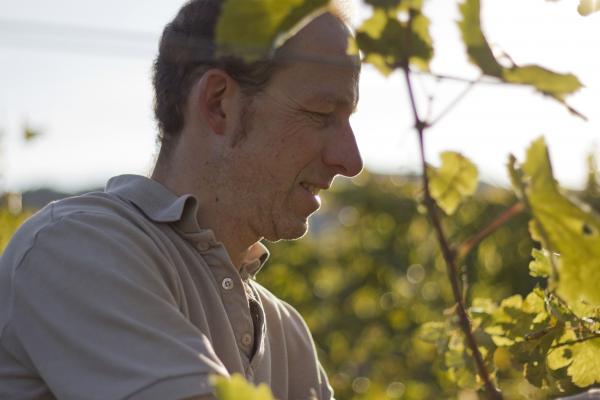 Weingut & Heuriger zur Weinbergstraße, Fam. Plos 