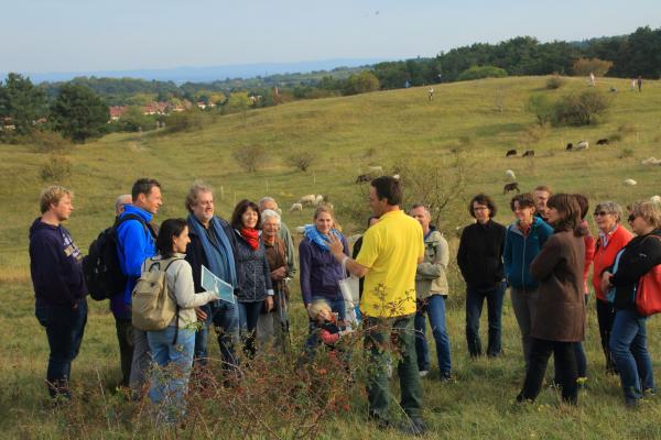 Steppe am Stadtrand