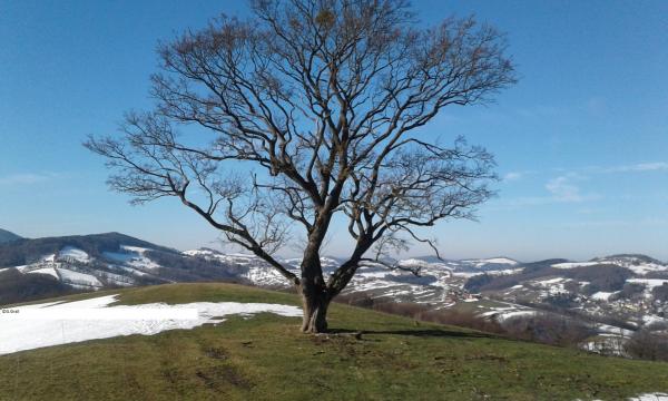 Wöllersdorf Wanderung