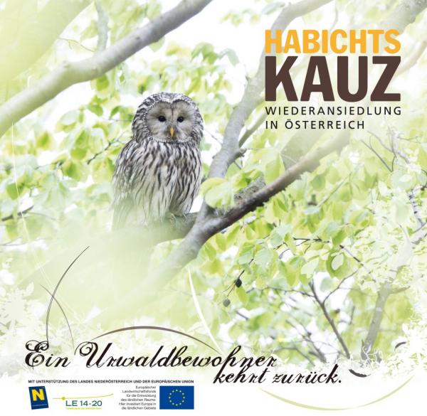 Habichtskauz