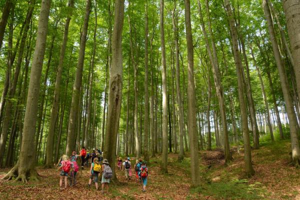Bundesforste-Waldferienwoche - Wissensjäger: Expedition zu den Geheimnissen der Natur