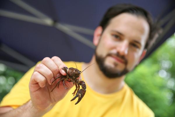 City Nature Challenge 2020 Wien