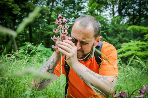Botaniker Jürgen Baldinger zeigt uns eine Türkenbundlilie - eine der prächtigsten einheimischen Wildblumen.