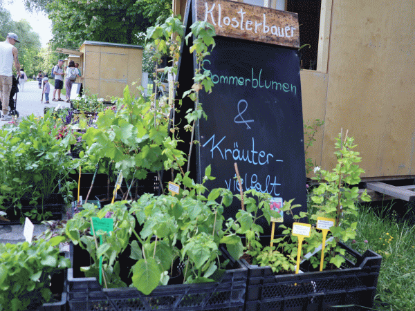 Monatsmarkt im Lainzer Tiergarten