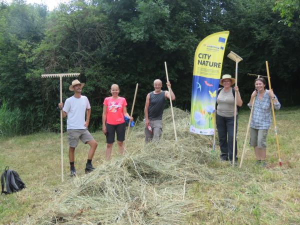 Gruppe bei der Landschaftspflege