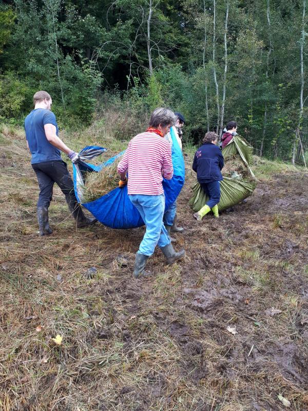 Landschaftspflegeeinsatz auf der Zichtelwiese in Breitenfurt