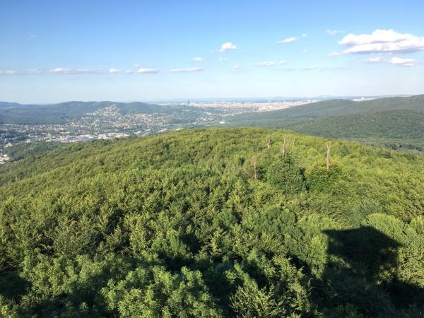 Aussichtswarte Rudolfshöhe