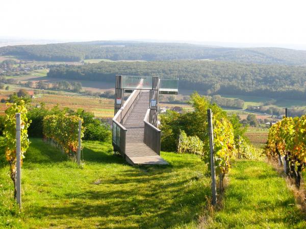 Ausblicksplattform mit Aussicht über Weinberge