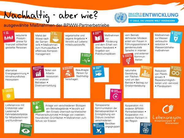 Die Kriterien für BPWW-Partnerbetriebe basieren auf einem Maßnahmenkatalog, aus dem einzelne Maßnahmen verpflichtend erfüllt sein müssen und andere frei gewählt werden können. Die Maßnahmen sind den 17 nachhaltigen Entwicklungszielen der Vereinten Nationen zugeordnet. 