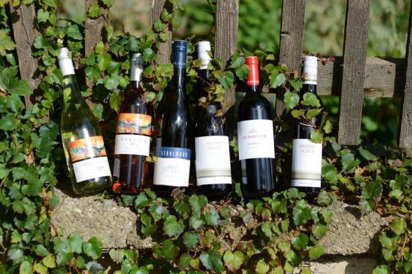 Zum Wettbewerb einreichen durften deshalb ausschließlich kontrolliert biologische und zertifiziert nachhaltige Betriebe, sowie Betriebe, die an der ÖPUL 2015-2020 Maßnahme „Pflanzenschutzmittelverzicht Wein“ teilnehmen.