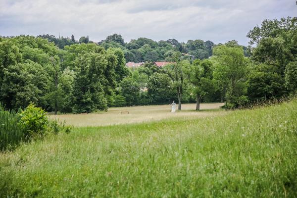 Natur in Währing