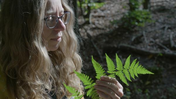 Frau in Natur