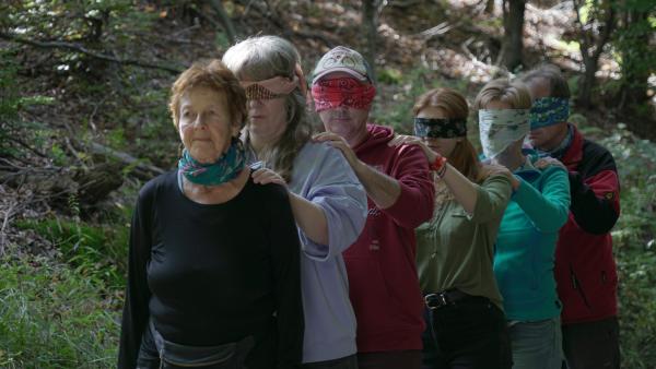 Blinde Führung im Wald