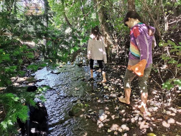 Kinder im Wald