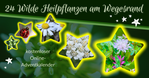 Adventkalender