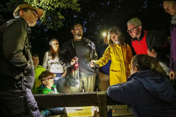 Gruppe bei Nacht