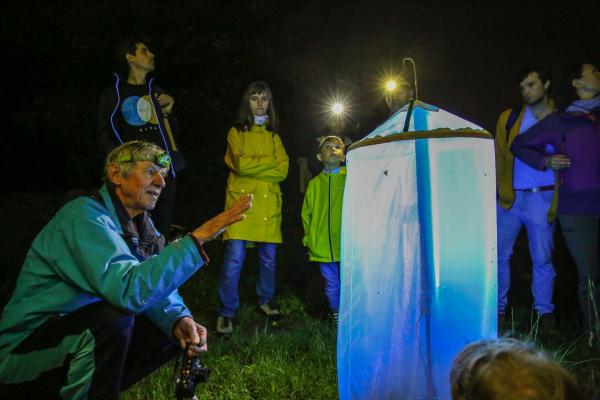 Gruppe beobachten nachtaktive Tiere bei einen Leuchtturm