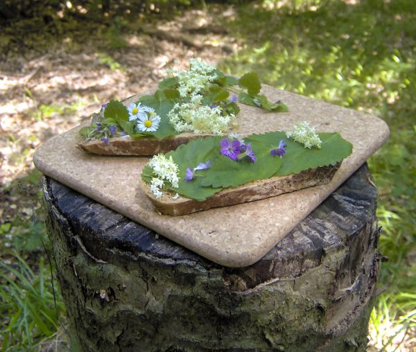 Brot mit Kräutern, Gänseblümchen