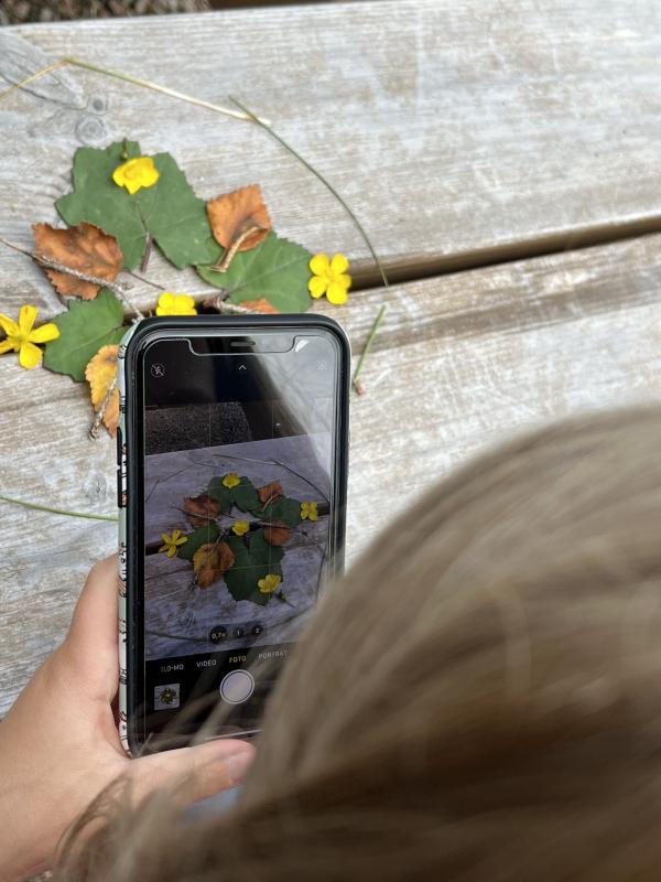 Blumenbestimmung mit Mobiltelefon