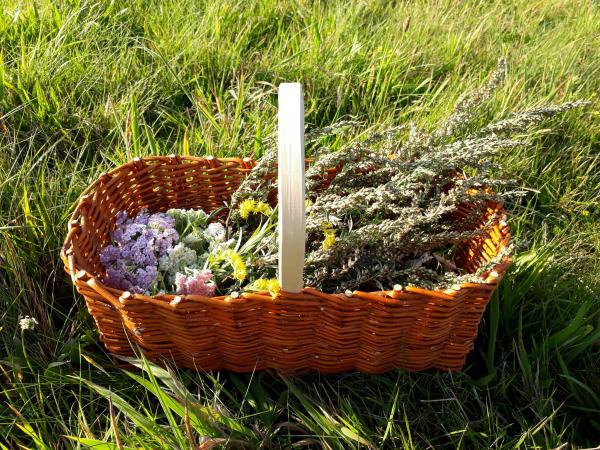 Ein Korb voller Blumen und Kräuter, der im Gras steht.