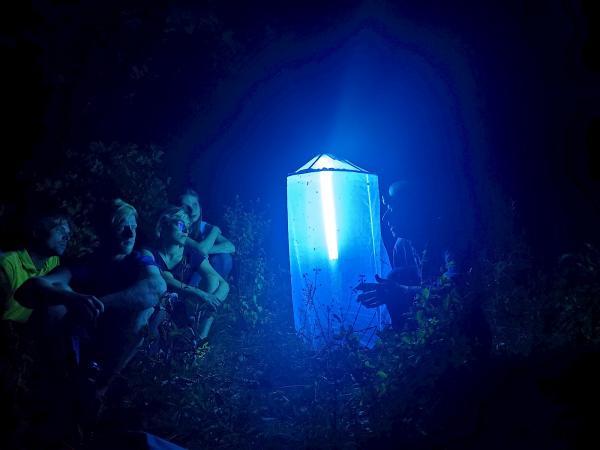 Nachts sitzen Menschen im Freien um ein leuchtendes, würfelförmiges Objekt mit intensivem blauem Licht. Umgebung ist von Bäumen umgeben