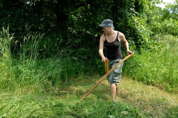 Frau mäht mit sense wiese