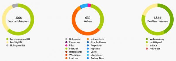 iNaturalist Statistik TdA23