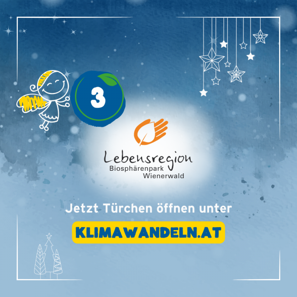 Adventtürchen Klimaadventkalender