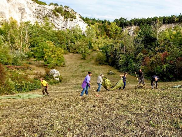 Landschaftspflege beim Steinbruch
