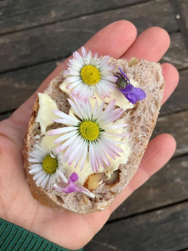Blüten von Gänseblümchen, Veilchen und Taubnessel auf Butterbrot