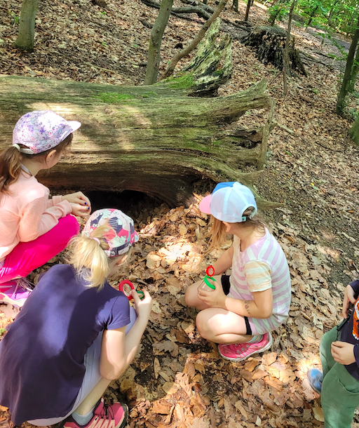 Kinder entdecken den Wald