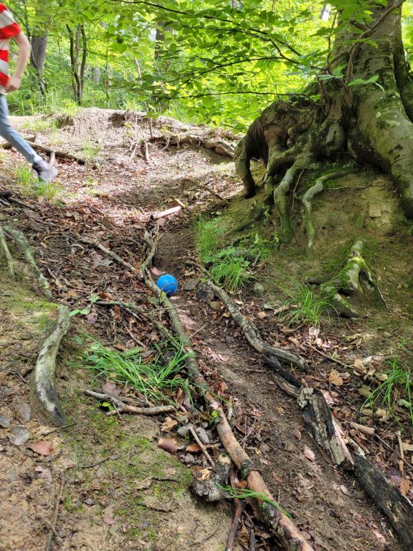 Kugelbahn im Wald