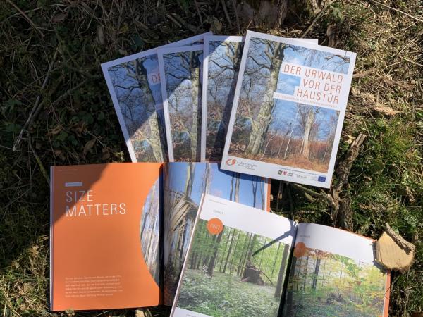 Neue Broschüre "Der Urwald vor der Haustür"