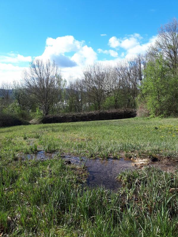 Wasserstelle auf Wiese