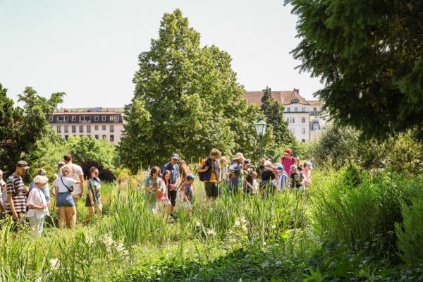 Naturführungen beim TdA 2025