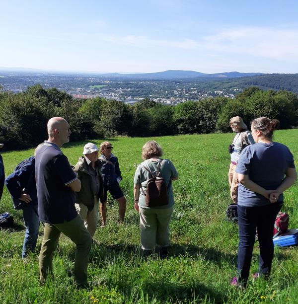 Neben einem wundervollen Blick auf Wien, bietet die Satzbergwiese im 14. Wiener Gemeindebezirk Penzing vielen Heuschrecken-Arten und anderen Wiesenbewohnern wertvollen Lebensraum.