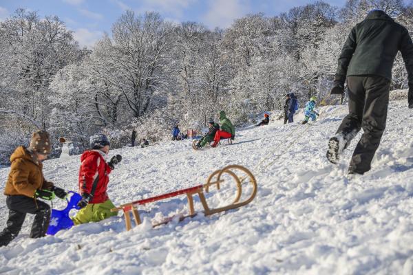 Bildersuchrätsel mit Fehler