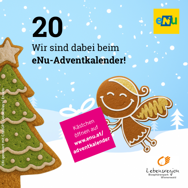 Grafik eNu-Adventkalender