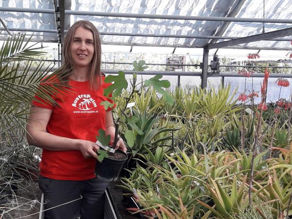 Frau in Gewächshaus