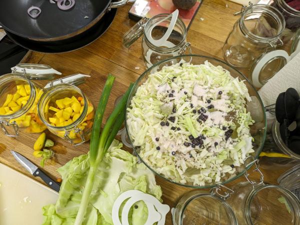 Zutaten für Fermente