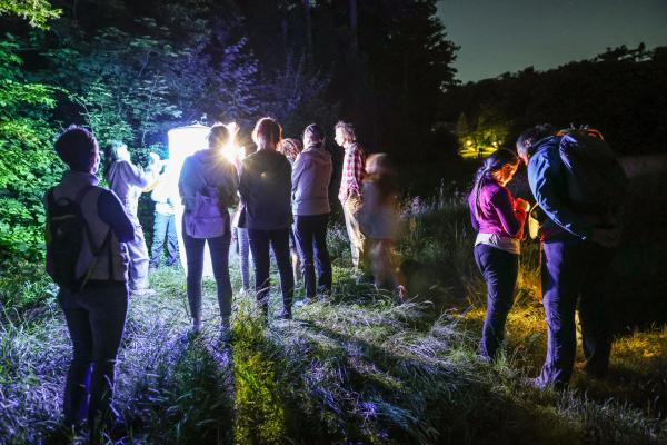 Wandergruppe bei Nachtexkursion