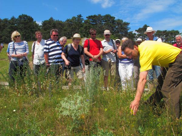 Menschengruppe auf Blumenwiese