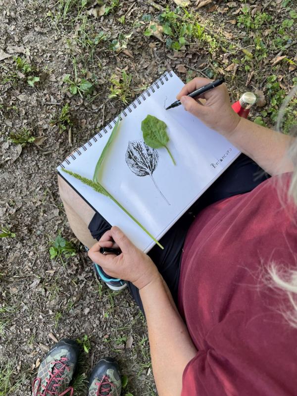 Frau skizziert Blatt